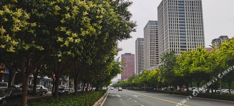 红日宾馆(石家庄红旗大街店)图片