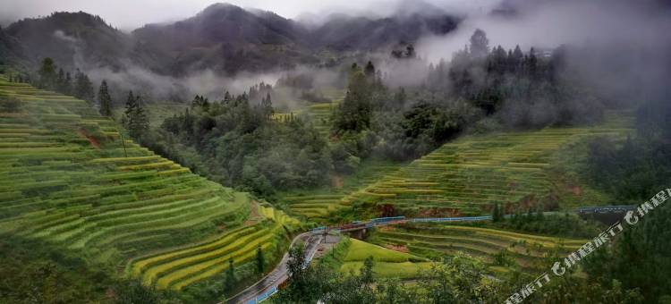 从江加榜云上梯田景观酒店图片