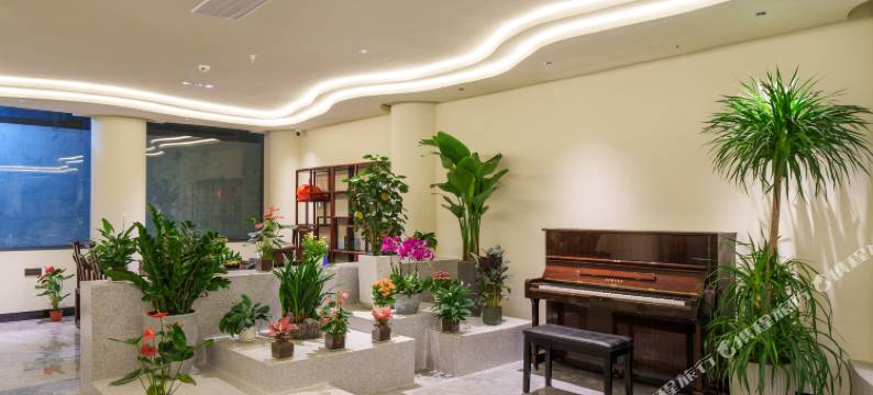 阳朔禧莱酒店(阳朔西街千古情店)图片