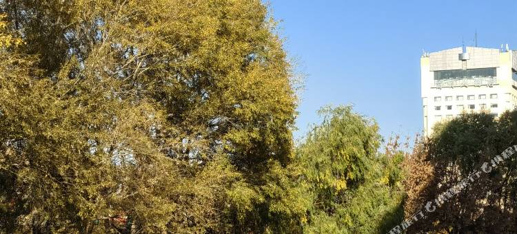 黑河友宜商务宾馆(海关一中店)图片