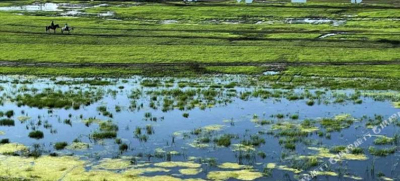 额尔古纳室韦杭盖酒店图片