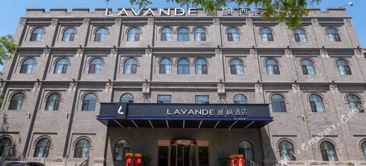 麗枫酒店(临汾洪洞大槐树景区店)图片