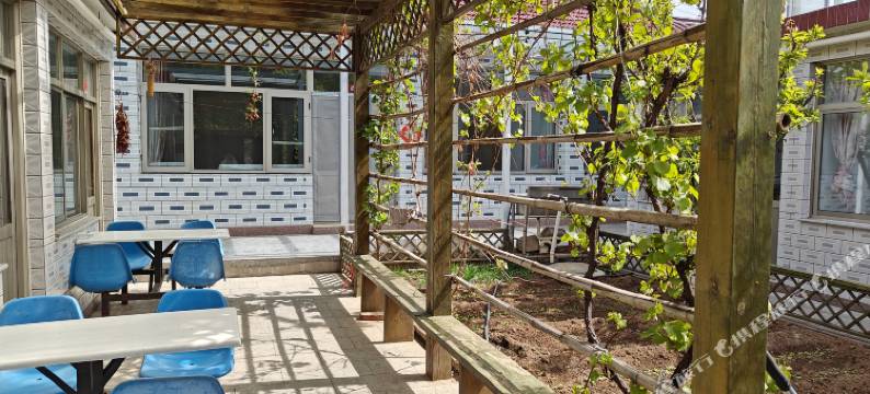 北京白桦林王学农家院图片