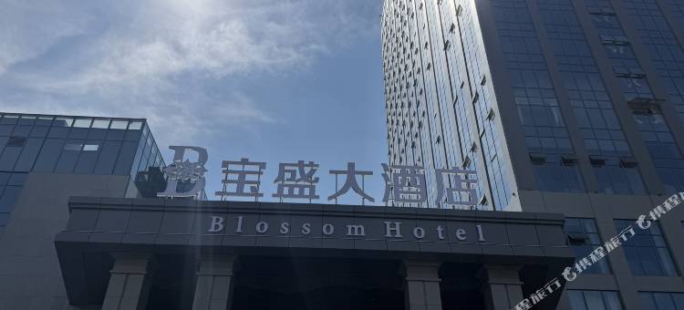 宁阳宝盛大酒店图片