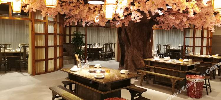 陇南蕊嘉锦龙宾馆(阶州夜市店)图片