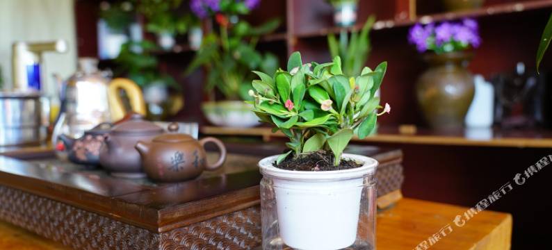 泸沽湖缘在里格客栈图片