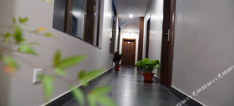 高莫哈大酒店(Hotel Gulmohar Grand)图片