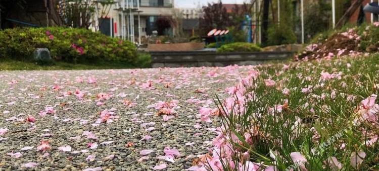 日照安泰渔港村落民宿(岚山海上碑店)图片