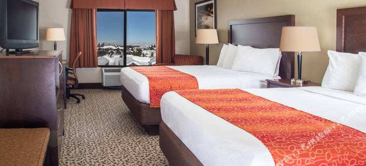 灰狼套房酒店(Gray Wolf Inn & Suites)图片