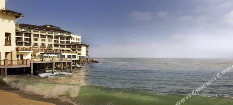 蒙特利广场酒店及水疗中心(Monterey Plaza Hotel and Spa)图片