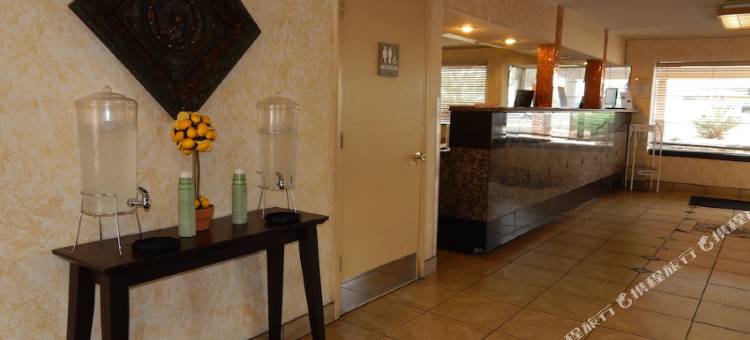 阿尔伯克基树套房酒店(Tree Inn & Suites Albuquerque)图片