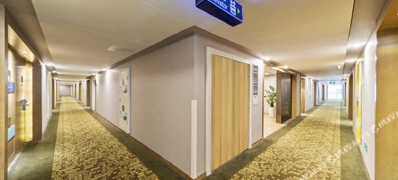 都江堰古城国际度假酒店(都江堰南桥景区店)图片