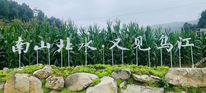 南山北水·又见乌江民宿图片