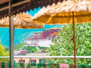 西藏唐卡酒店(大昭寺布达拉宫店)图片