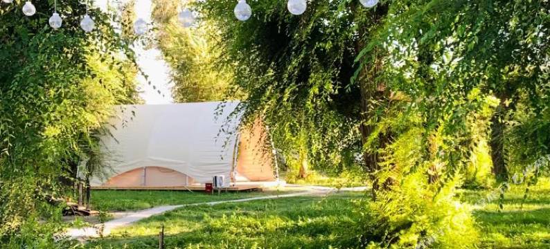 榆风野奢营地民宿(芦草沟店)图片