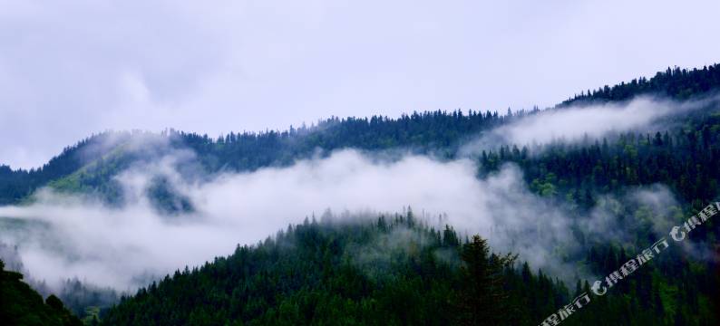 迭部扎尕那氧吧民宿图片