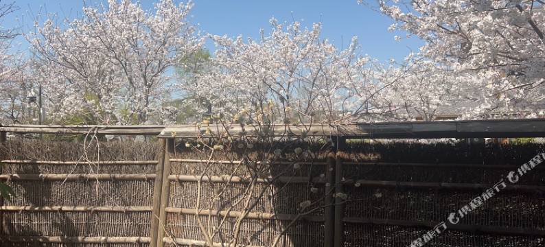 无锡林静阁客栈(无锡拈花湾店)图片