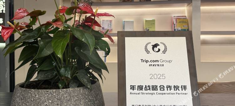 厦门壹号别院(中山路步行街轮渡码头店)图片