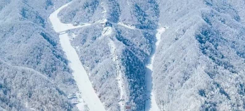 雪宿民宿(伏牛山滑雪度假乐园店)图片