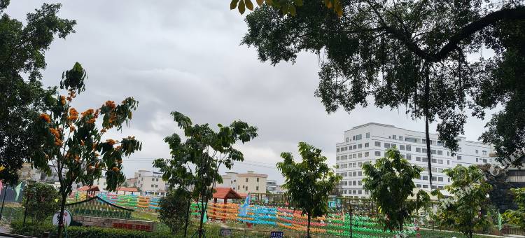 江门静雅公寓图片