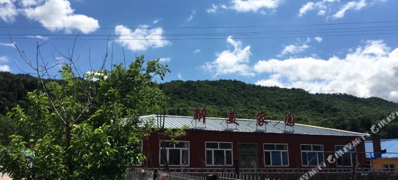 醉美家园农家院图片