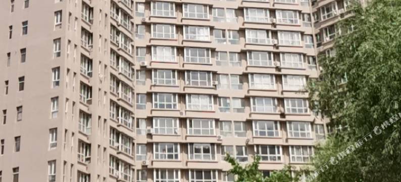 大庆长树公寓图片