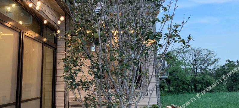 白猫民宿：慢活金门住这里图片