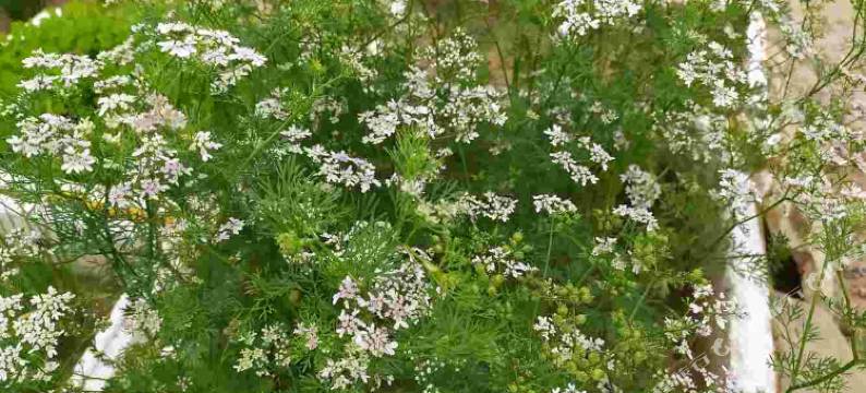 偏关老杨农家乐图片