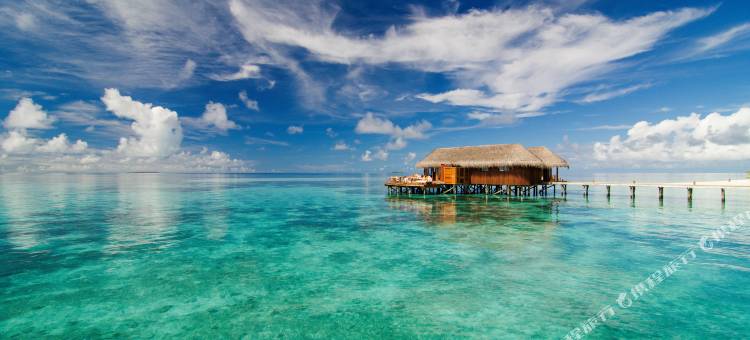 马尔代夫美憬阁米里希V别墅(V Villas Maldives at Mirihi - MGallery Collection)图片