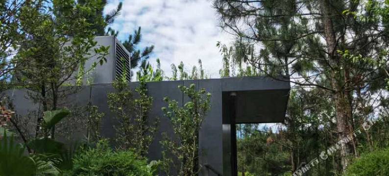 小森林度假酒店图片