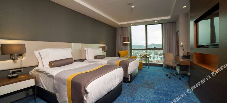 丽笙蓝标酒店-开塞利(Radisson Blu Hotel, Kayseri)图片