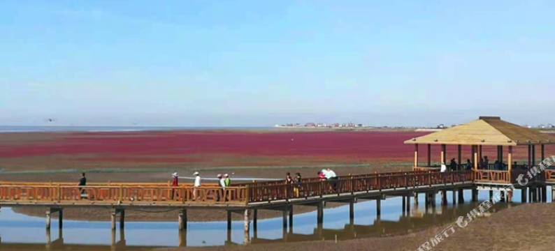 盘锦文顺民宿(红海滩店)图片