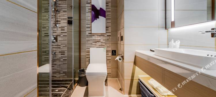 麗枫酒店(佛山西站狮山店)图片