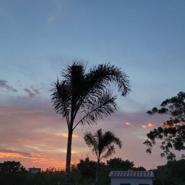 涠洲岛·暮星 Evening Star Shore珊瑚石庭院民宿(贝壳沙滩店)图片