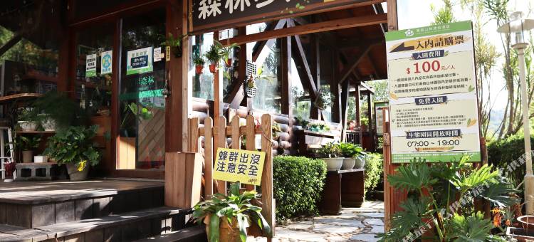 丽多森林度假酒店图片