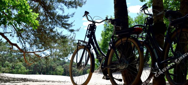 索斯图尼恩皇家公园希尔顿逸林酒店(DoubleTree by Hilton Royal Parc Soestduinen)图片