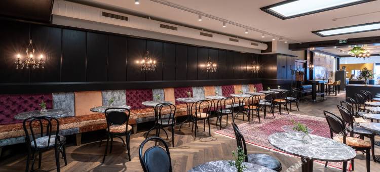 阿梅迪亚广场威尔斯酒店，温德姆Trademark精选(Amedia Plaza Wels, Trademark Collection by Wyndham)图片