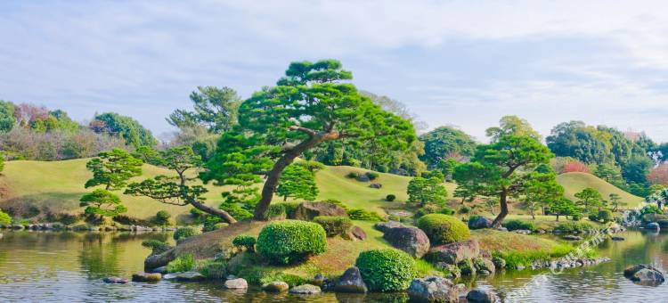 熊本河畔-MYSTAYS酒店(HOTEL MYSTAYS Kumamoto Riverside)图片