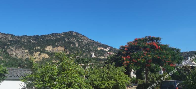 龙海聚兴德民宿图片