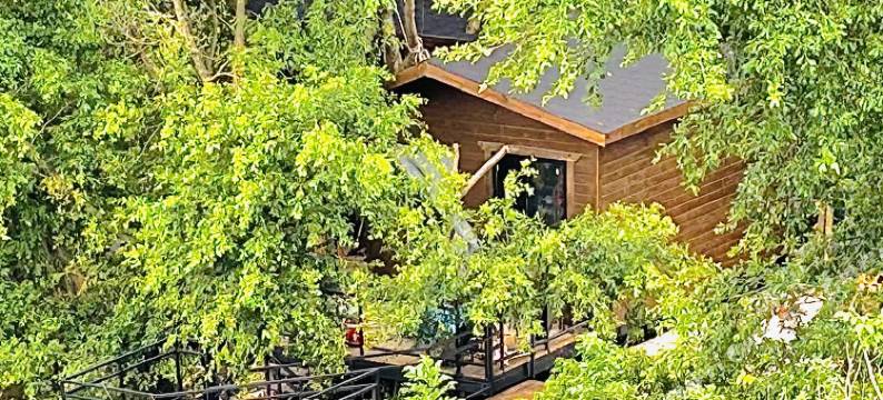 花筑·榕树下的院子(富力海洋文化城店)图片