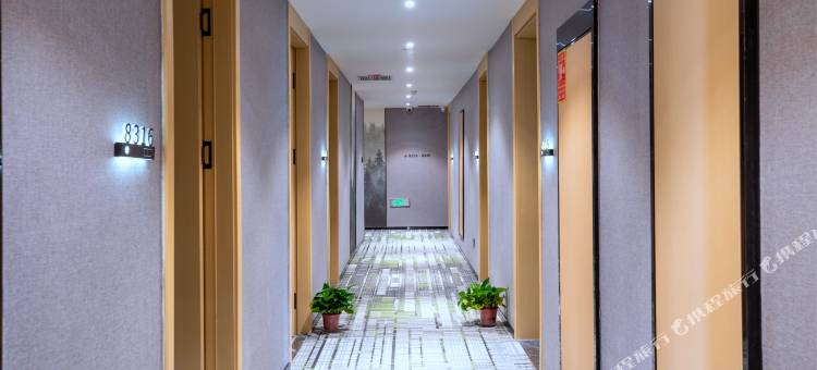 格林豪泰智选酒店(民族特色美食街国际会展中心店)图片