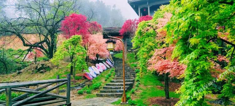 云冰山浆洞客栈图片