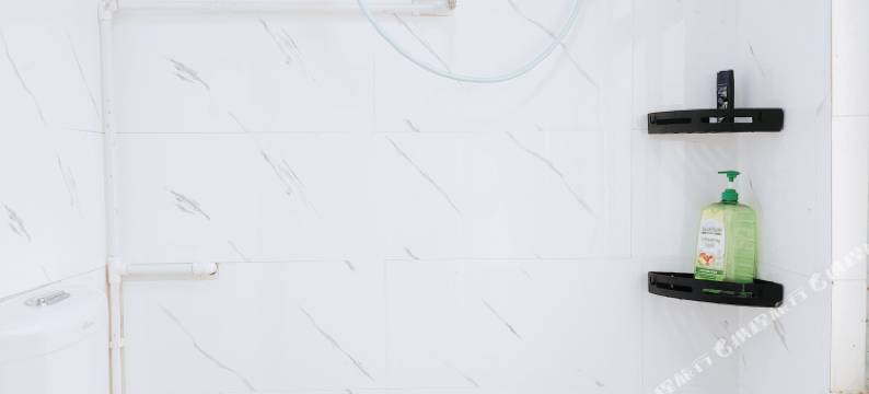 推荐工作青年公寓图片