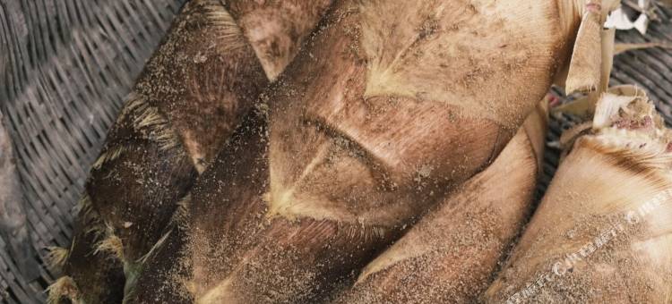 皇茶园茶宿图片