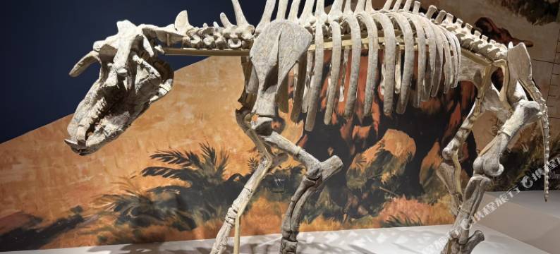 艺龙瑞云酒店(兰州中山桥西关地铁站店)图片