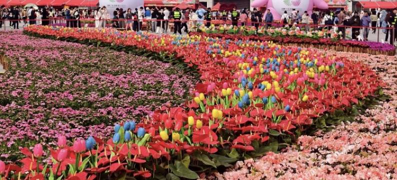 广州太古汇华师地铁站宜致美居图片