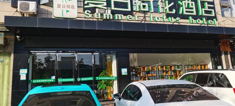 夏日荷花连锁酒店(荆州万达路店)图片