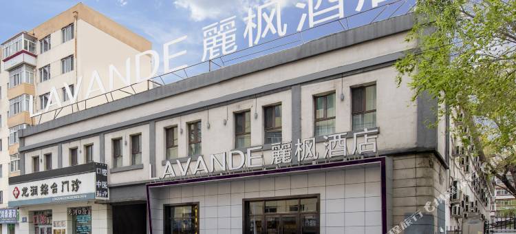 麗枫酒店(哈尔滨火车站果戈里大街)图片