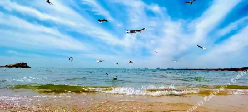 北戴河陈玉香家庭旅馆图片