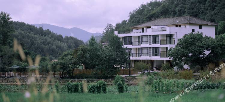 泰顺山行民宿图片